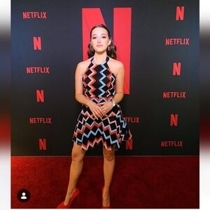 NWT!! Parker Embroidered Zigzag Leona Dress, Size 8